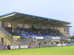 Image result for Staines Albion Fc