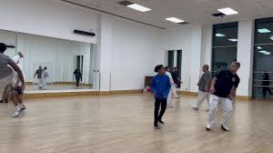 Image result for Utf Jaguar Tkd