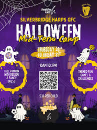 Image result for Silverbridge Harps Gac