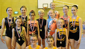 Image result for South Western Gymnastics Club