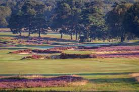 Image result for Walton Heath Golf Club