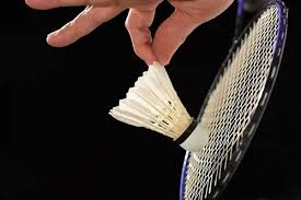 Image result for Addison Exiles Badminton Club