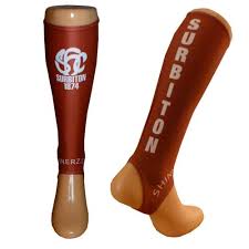 Image result for Surbiton Hockey Club