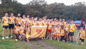 Image result for Hercules Wimbledon A C