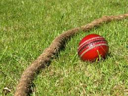 Image result for Redlynch and Hale Cricket Club