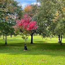 Image result for Wilton Golf Club