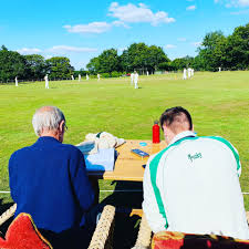 Image result for Lynchmere Cricket Club