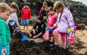 Image result for Thurrock BSAC