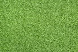 Image result for Astroturf