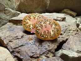 Afbeeldingsresultaat voor marizol purple tomato