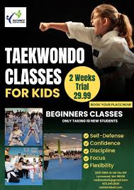 Image result for Everitt Karate Academy