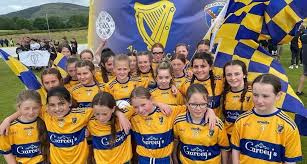 Image result for Silverbridge Harps Gac