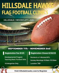 Image result for Hedingham Hawks Youth Football Club