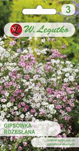 Attēlu rezultāti vaicājumam “Licea pusilla sessile”