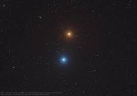 Attēlu rezultāti vaicājumam “Regulus regulus”