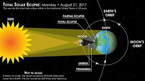 Attēlu rezultāti vaicājumam “Panolis umbra”