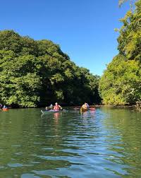 Image result for Exeter Canoe Club