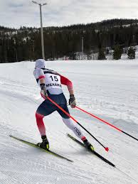 Image result for Scandinavian slope and cross country skiing