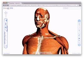 Image result for webgl examples