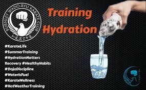 Image result for Burnley Wado Ryu Karate Club