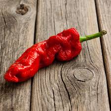 Afbeeldingsresultaat voor naga jolokia hot pepper