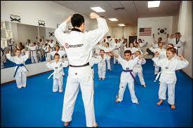 Image result for Parkgate Taekwondo Club