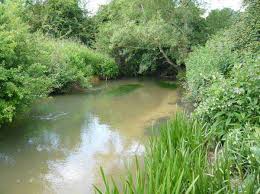 Image result for Bathampton Angling Association