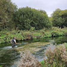 Image result for City Of London Piscatorial Society