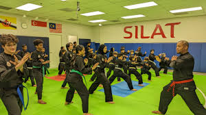 Image result for Silat Perisai Diri Classes Club