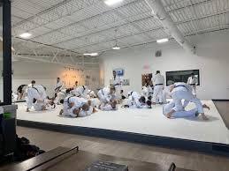 Image result for Roswell Martial Arts KA