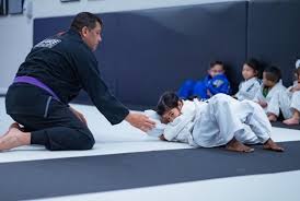 Image result for Heanor Ju-Jitsu Club