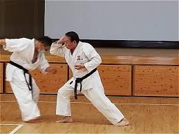 Image result for Junsui Shotokan Karate Do
