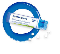 Attēlu rezultāti vaicājumam “Arnica montana”