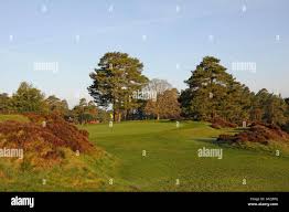 Image result for Hindhead Golf Club