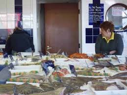 Image result for Newhaven Deep Sea Anglers