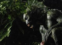 Image result for ikan