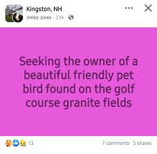 Image result for Kingston Upon Hull Athletics Club