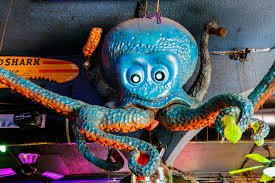 Image result for Isle of Man Octopush Club