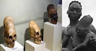 Image result for elongated skulls