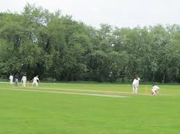 Image result for Llantwit Major Cavaliers Cricket Club