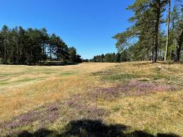 Image result for Forfar Golf Club