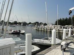 Image result for Falmouth and Helston Octopush Club