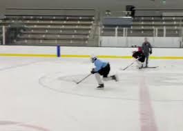 Image result for West Coast Wasps Skater Hockey Club