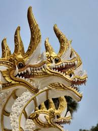 Kuvahaun tulos haulle nagas