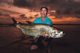 Image result for Megalops atlanticus