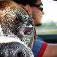Boston Personal Injury Attorney Blog :: Published by Boston ...