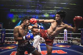 Image result for Muay Thai Clubs
