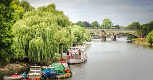 Image result for Richmond-Freediving (London)