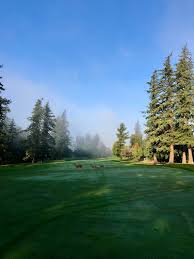 Image result for Bellingham Golf Club