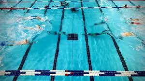 Image result for York Octopush Club